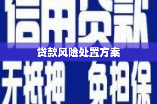 洋县贷款风险处置方案