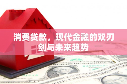 洋县消费贷款，现代金融的双刃剑与未来趋势