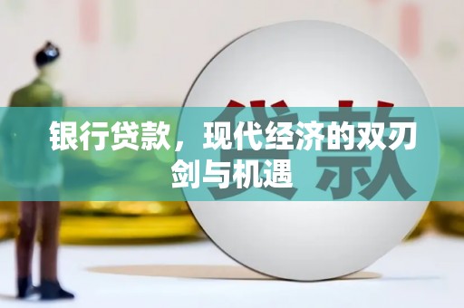 洋县银行贷款，现代经济的双刃剑与机遇