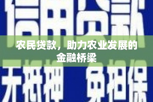洋县农民贷款，助力农业发展的金融桥梁