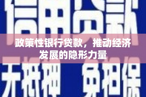 洋县政策性银行贷款，推动经济发展的隐形力量