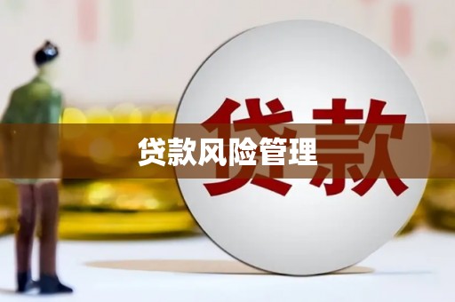 洋县贷款风险管理