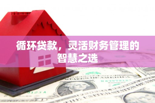 洋县循环贷款，灵活财务管理的智慧之选