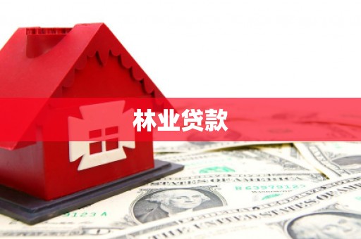 洋县林业贷款