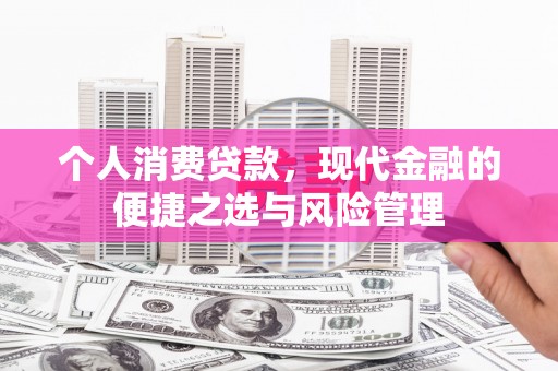 洋县个人消费贷款，现代金融的便捷之选与风险管理