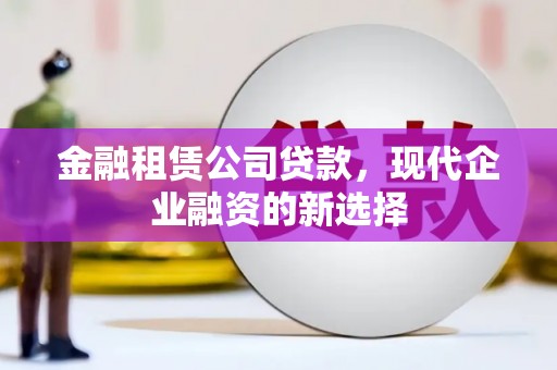 洋县金融租赁公司贷款，现代企业融资的新选择