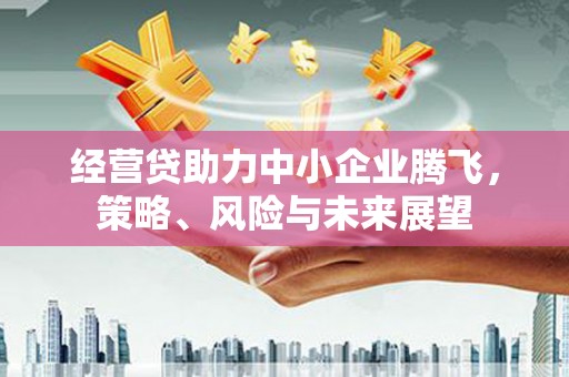 洋县经营贷助力中小企业腾飞，策略、风险与未来展望