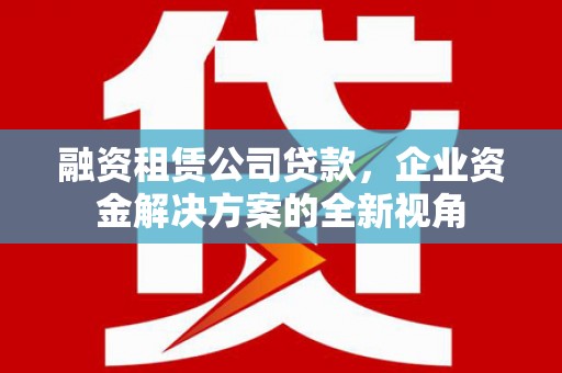 洋县融资租赁公司贷款，企业资金解决方案的全新视角
