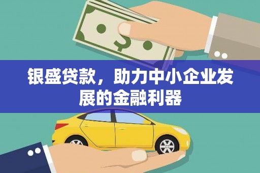 洋县银盛贷款，助力中小企业发展的金融利器