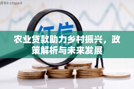 洋县农业贷款助力乡村振兴，政策解析与未来发展