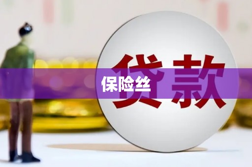洋县保险丝