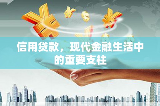 洋县信用贷款，现代金融生活中的重要支柱