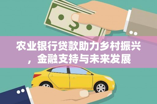 洋县农业银行贷款助力乡村振兴，金融支持与未来发展