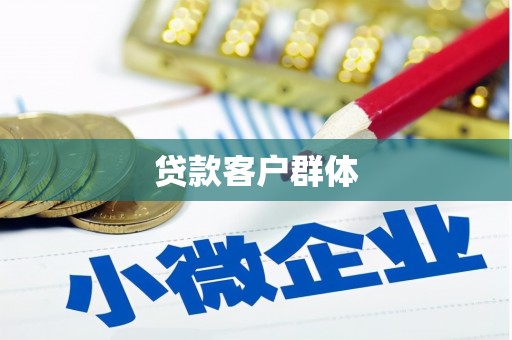 洋县贷款客户群体