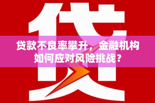 洋县贷款不良率攀升，金融机构如何应对风险挑战？
