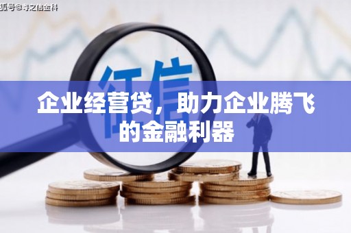 洋县企业经营贷，助力企业腾飞的金融利器