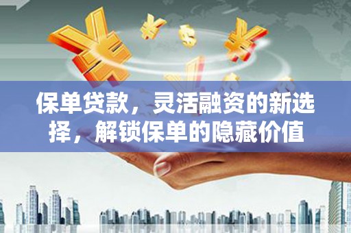 洋县保单贷款，灵活融资的新选择，解锁保单的隐藏价值