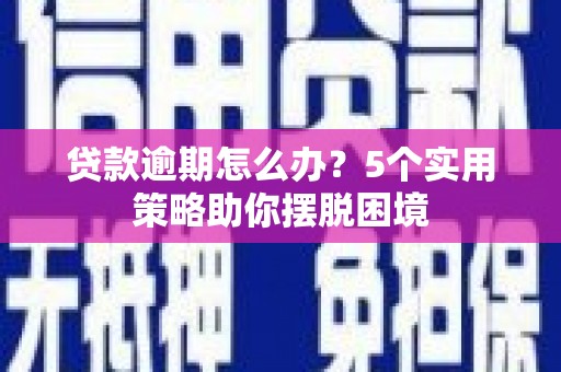 洋县贷款逾期怎么办？5个实用策略助你摆脱困境