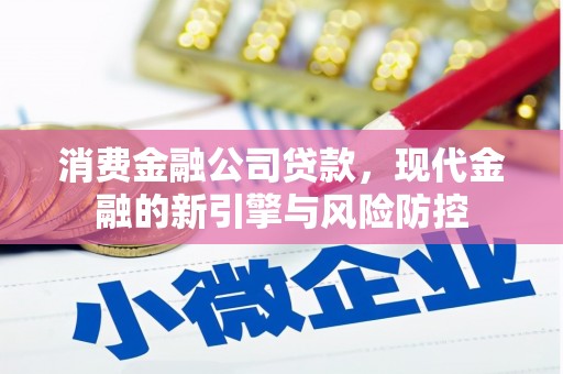 洋县消费金融公司贷款，现代金融的新引擎与风险防控
