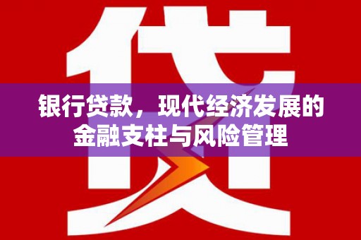 洋县银行贷款，现代经济发展的金融支柱与风险管理