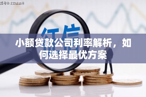 洋县小额贷款公司利率解析，如何选择最优方案