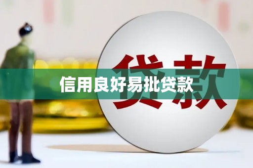 洋县信用良好易批贷款