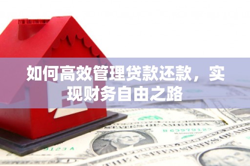 洋县如何高效管理贷款还款，实现财务自由之路