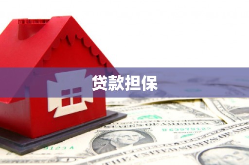 洋县贷款担保