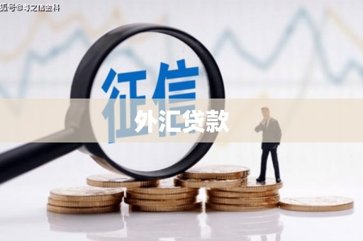 洋县外汇贷款