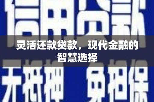 洋县灵活还款贷款，现代金融的智慧选择