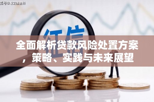 洋县全面解析贷款风险处置方案，策略、实践与未来展望