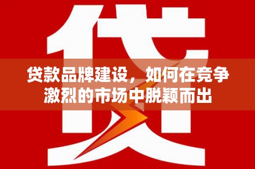 洋县贷款品牌建设，如何在竞争激烈的市场中脱颖而出