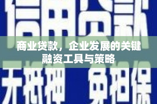 洋县商业贷款，企业发展的关键融资工具与策略