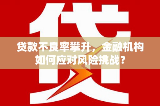 洋县贷款不良率攀升，金融机构如何应对风险挑战？