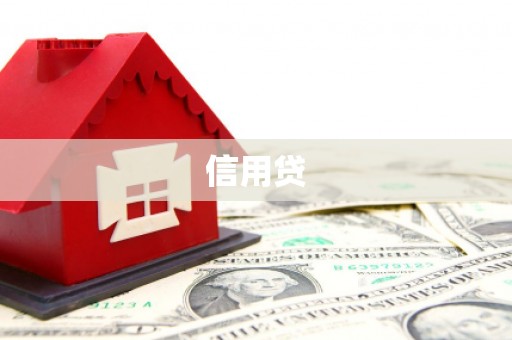 洋县信用贷