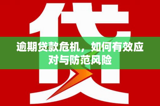 洋县逾期贷款危机，如何有效应对与防范风险