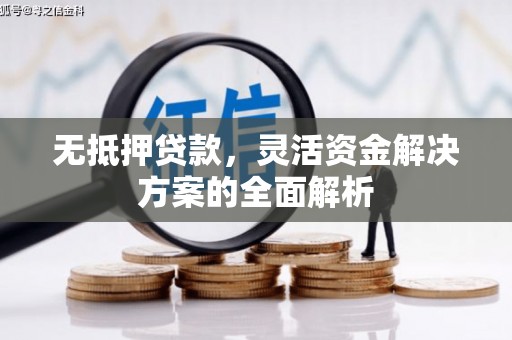 洋县无抵押贷款，灵活资金解决方案的全面解析