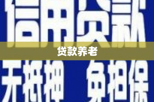 洋县贷款养老