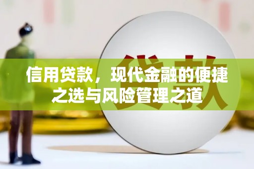 洋县信用贷款，现代金融的便捷之选与风险管理之道