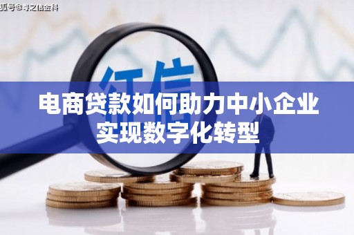 洋县电商贷款如何助力中小企业实现数字化转型