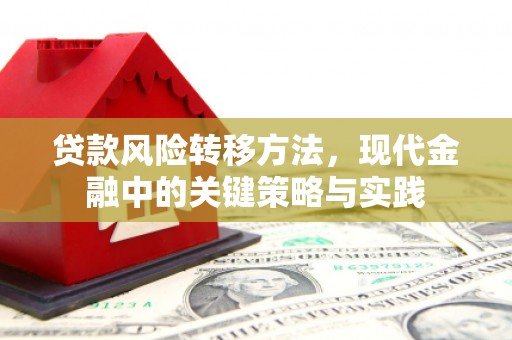洋县贷款风险转移方法，现代金融中的关键策略与实践