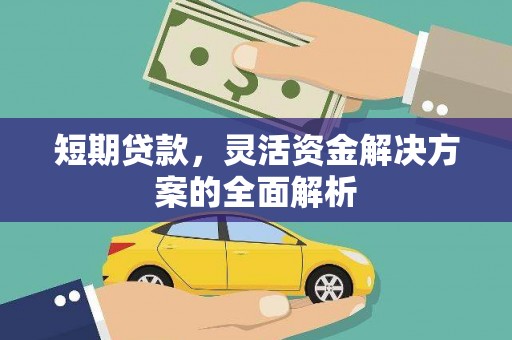 洋县短期贷款，灵活资金解决方案的全面解析