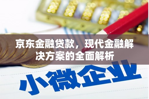 洋县京东金融贷款，现代金融解决方案的全面解析