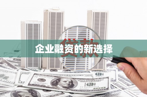 洋县企业融资的新选择