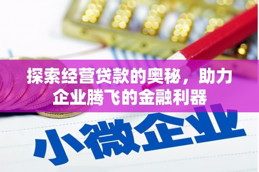 洋县探索经营贷款的奥秘，助力企业腾飞的金融利器