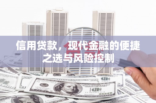 洋县信用贷款，现代金融的便捷之选与风险控制
