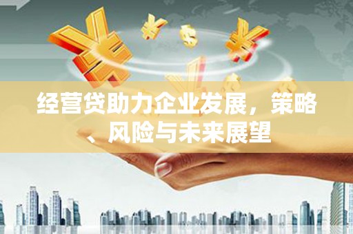 洋县经营贷助力企业发展，策略、风险与未来展望