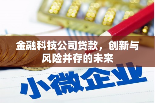 洋县金融科技公司贷款，创新与风险并存的未来