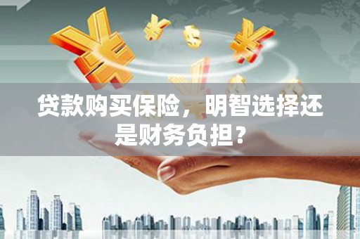 洋县贷款购买保险，明智选择还是财务负担？