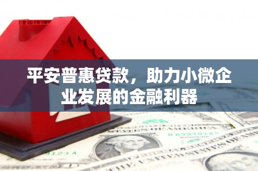 洋县平安普惠贷款，助力小微企业发展的金融利器